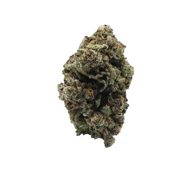 Black truffle